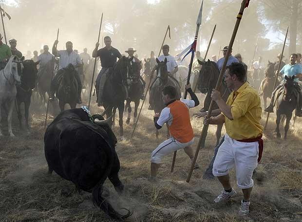 ein Stier, verfolgt von einer Menschenmenge